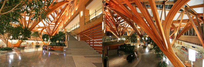 Mississauga Credit Valley Hospital's indoor Nature Valley Walkway--A great example of the use of plants and wooden architecture to bring nature into this lobby space.